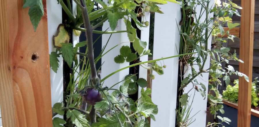 Aqua Potager Vertical