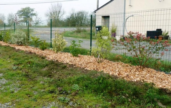 Haie variée avec paillage bois