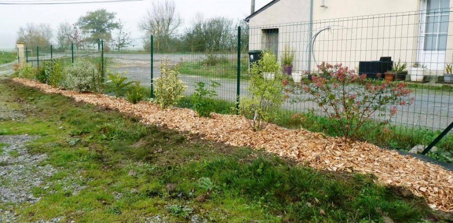 Haie variée avec paillage bois