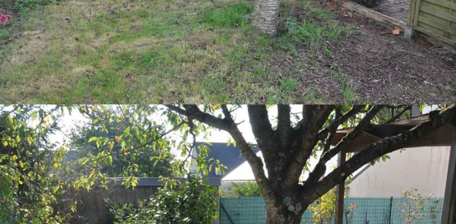 Jardin Minéral avant-après