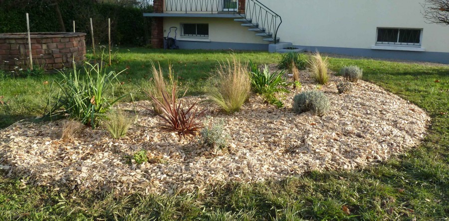 Massif de graminées avec paillage bois