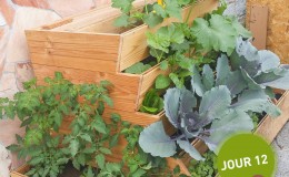 Potager composteur Easy jardin