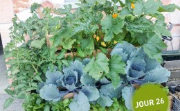 Potager composteur Easy jardin