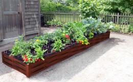 Rectangle potager en plessis d’Acier Corten