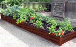 Rectangle potager en plessis d’Acier Corten