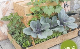 Potager composteur Easy jardin