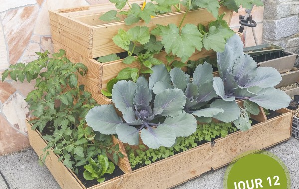 Easy jardin potager composteur