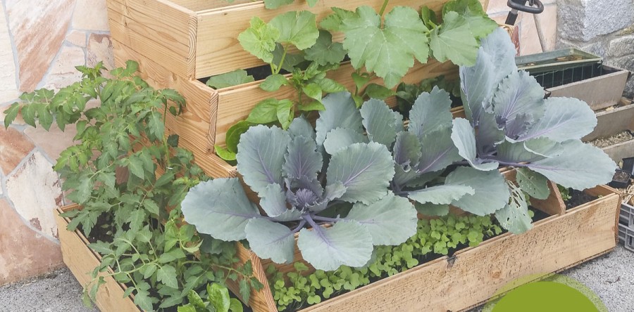 Easy jardin potager composteur