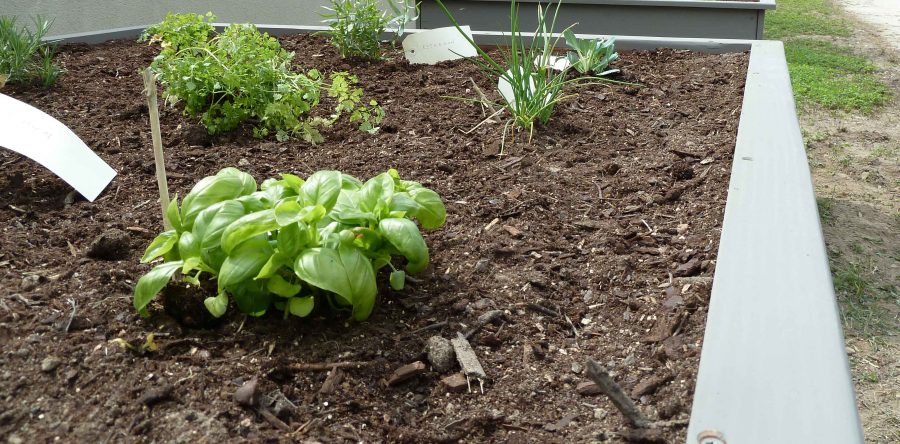 Carré potager surélevé coloris Taupe 120x120x100 en bois de Douglas