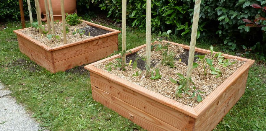 Carré potager 90x90x 30 cm en bois de Douglas vernis à l’huile de lin