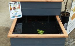 Aqua Potager Nantes – Aquaponie Nantes