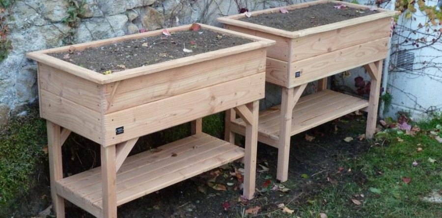 Carré potager surélevé 100x50x85 Douglas Brut et goudronné avec tablette