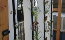 Aqua Potager vertical – Aquaponie Nantes