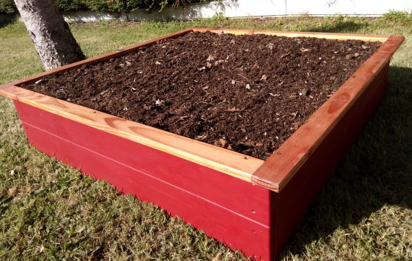 Carré potager 120 x 120 x 30 cm en bois de Douglas coloris rouge