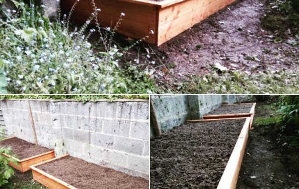 Potager en rectangle 230x100x30 en Douglas