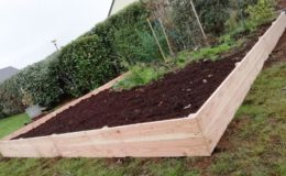 Potager bordures en Douglas