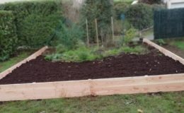 Potager bordures en Douglas