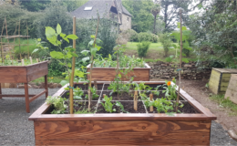 Carré potager sur pieds en Douglas Bretagne