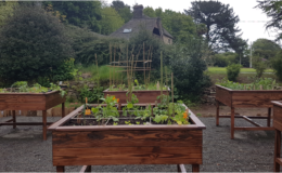 Carré potager sur pieds en Douglas Bretagne