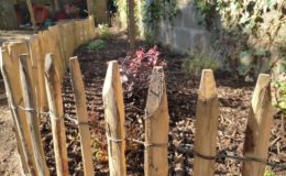 Aménagement de jardin comestible à Nantes