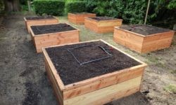 Carré Potager 120x120x45 en Douglas huilé avec arrosage automatique