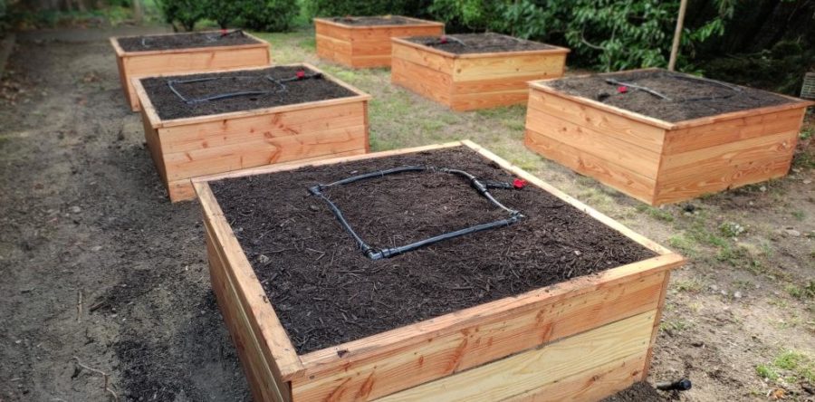 Carré Potager 120x120x45 en Douglas huilé avec arrosage automatique