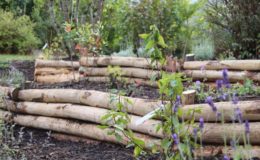 Aménagement de jardin à Carquefou