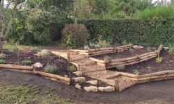 Aménagement jardin Carquefou – Talus Plantes mellifères et arbustes à baies