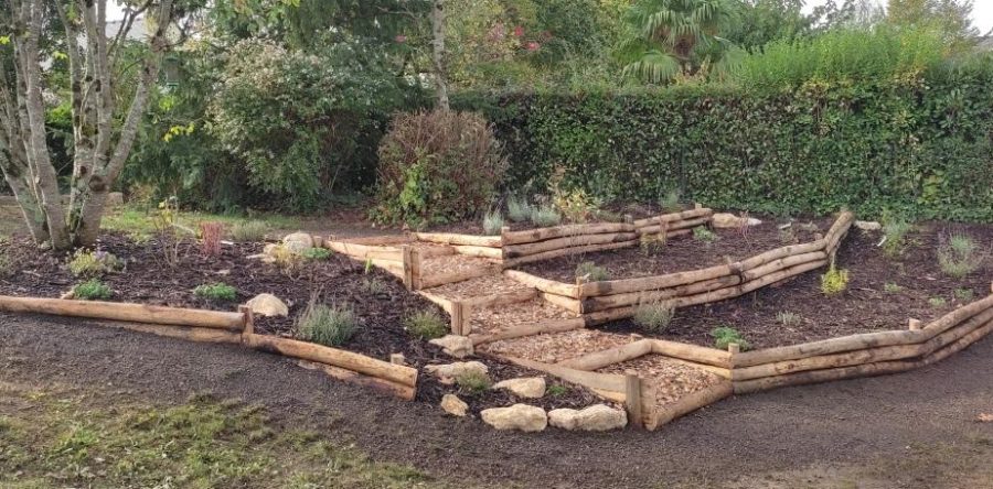 Aménagement jardin Carquefou – Talus Plantes mellifères et arbustes à baies