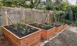 Carrés Potagers en espalier sur mesure