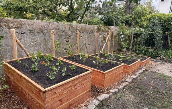 Carrés Potagers en espalier sur mesure