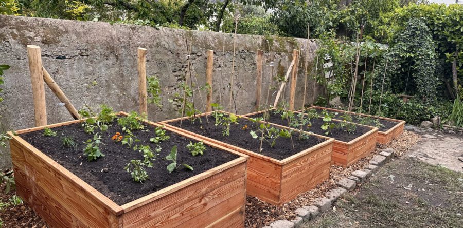 Carrés Potagers en espalier sur mesure
