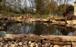 Conception et création jardin Trans Sur Erdre