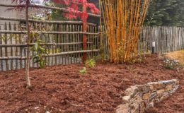 Conception et création jardin Joué Sur Erdre