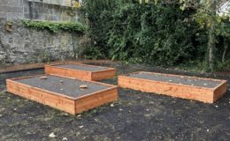 Création et aménagement de jardin Nantes Doulon